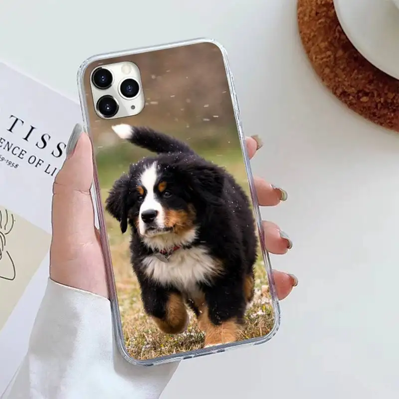 

Bernese Mountain Dog high quality Phone Case For iphone 12 5 5s 5c se 6 6s 7 8 plus x xs xr 11 pro max