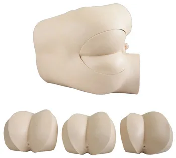 

Rectal finger examination model