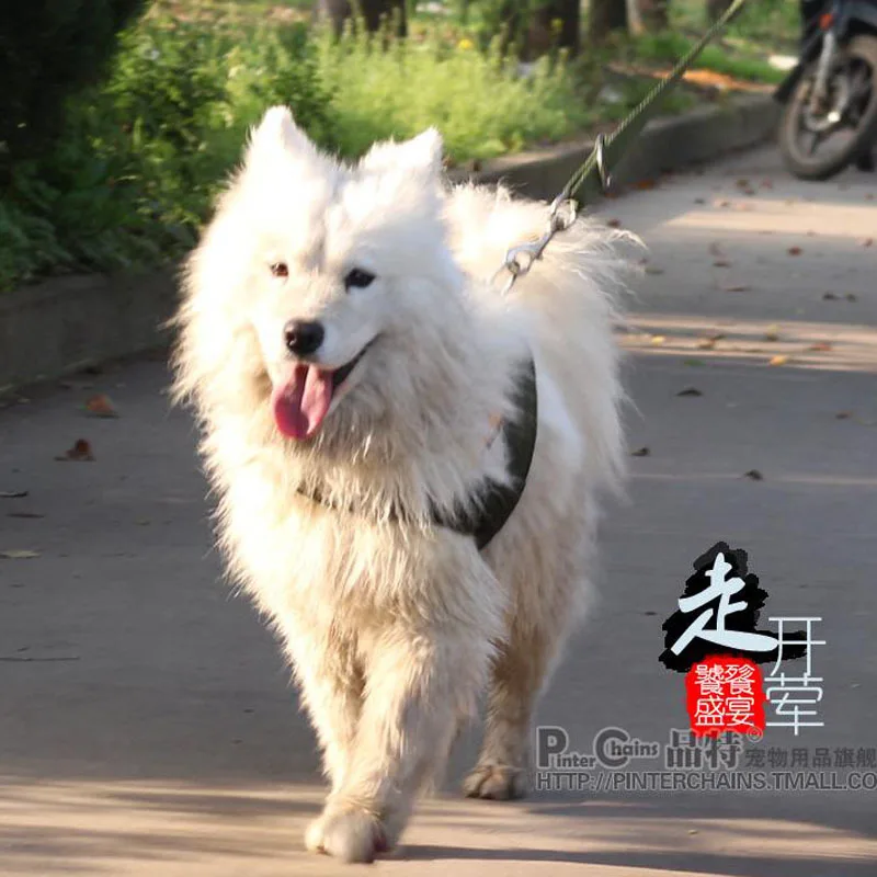 Хит продаж светоотражающий нагрудный ремень собачий ошейник товары для питомцев