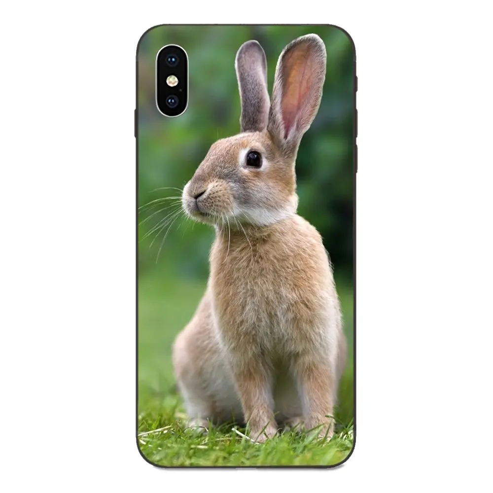 За счет складки мягкая модная сотового телефона чехол с кроликом Банни Двойной