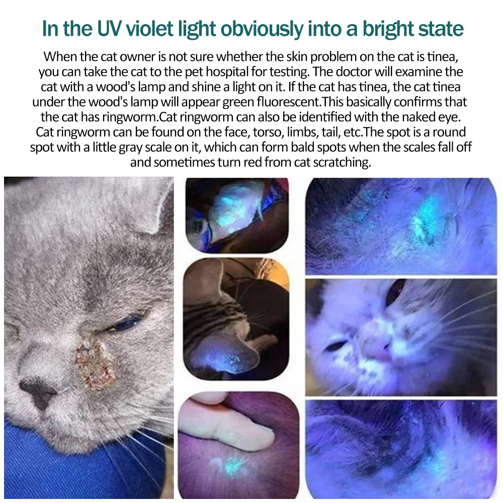 Ringworm Under Black Light Cat ubicaciondepersonas.cdmx.gob.mx