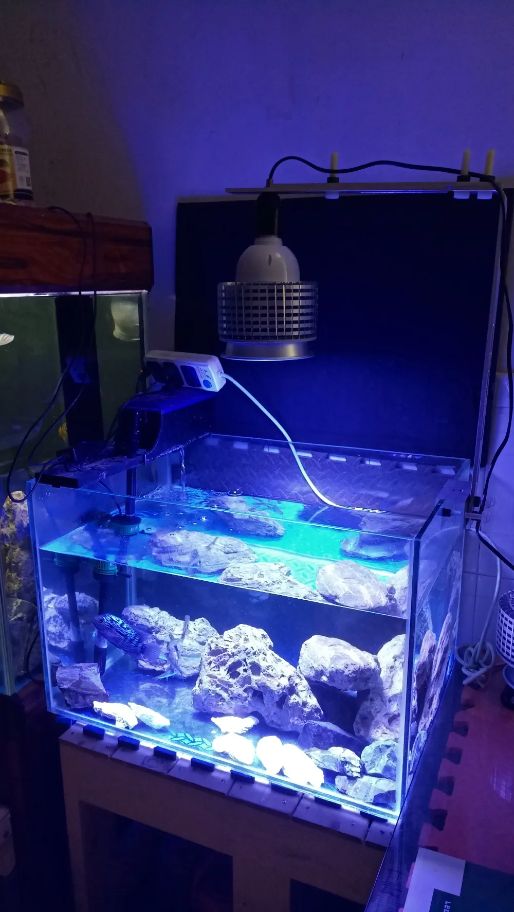 Высокая мощность 40 Вт Светодиодный светильник для аквариума Reef лампа 10 синий 6 белый 2uv для рыб коралловый риф морской SPS LPS