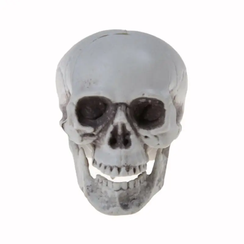 Украшение на Хэллоуин модель черепа искусственный страшный череп реквизит