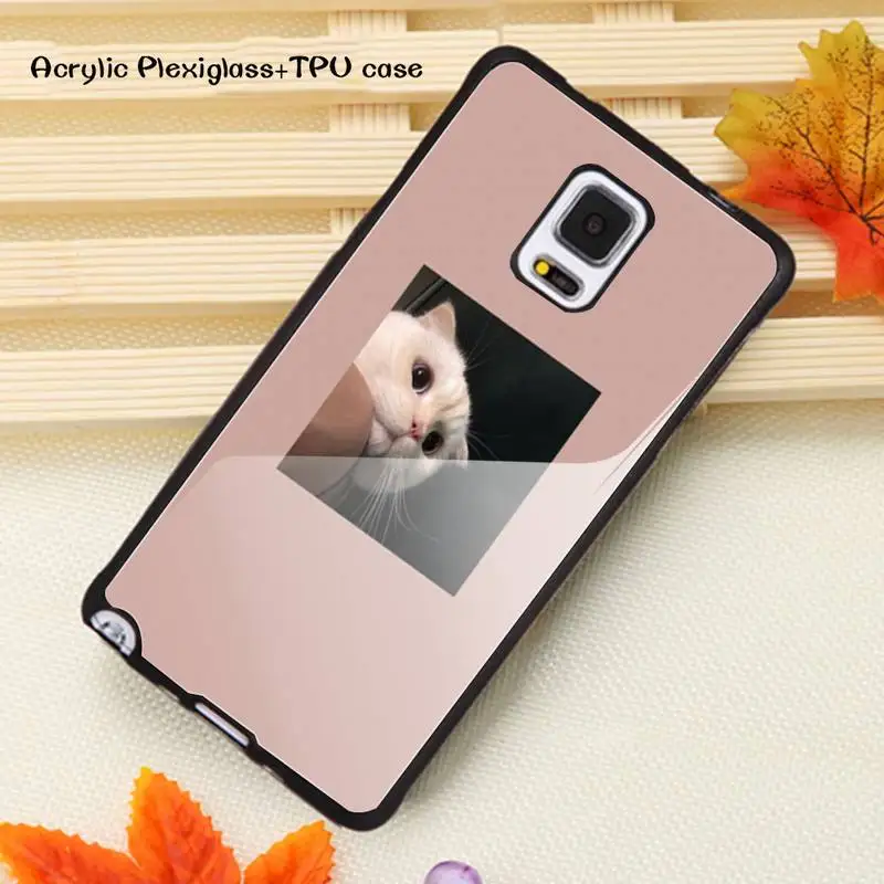 

Cute Animal Cat Phone Case Acrylic Plexiglass TPU For Samsung Note20 10 9 8 7 5 Pro ULTRA