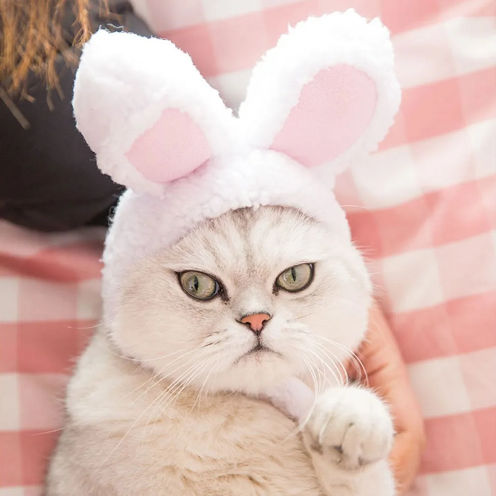 Новые модные товары для домашних животных миниатюрная Кепка с кроличьими ушками