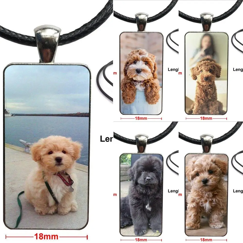 Для мужчин и женщин вечерние Подарочные брендовые стальные цветные ювелирные