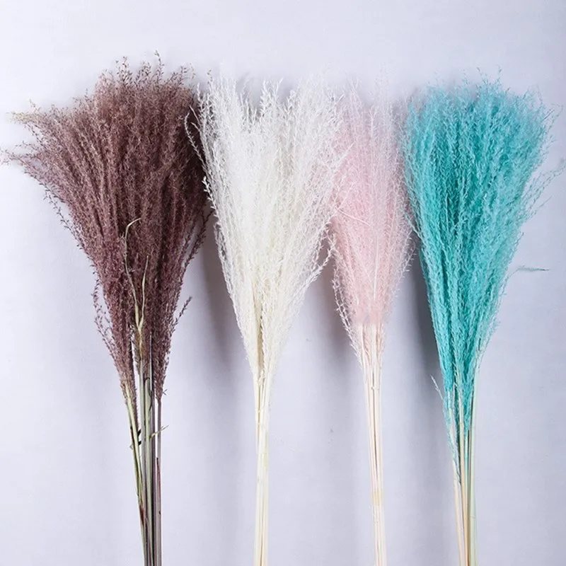 

2021 New 10Pcs/Bouquet Flores Secas Natural Fluffy Small Preserved Pampas Grass Dried Flowers Weddings Horsetail Whisk Wholesale