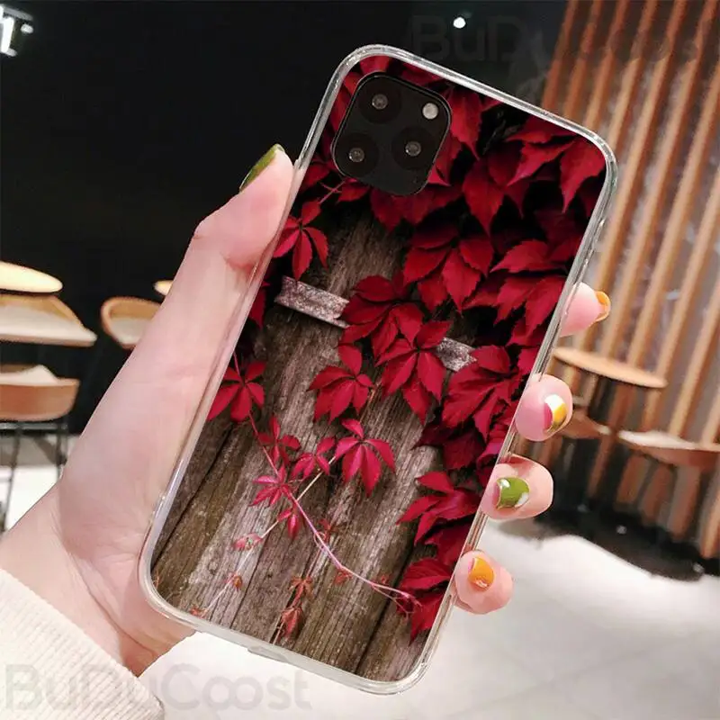 fall maple leaves soft phone case capa for iphone 11 pro 11 pro max x xr xs max 7 8 6 6s plus 5 5s se 2020 case free global shipping