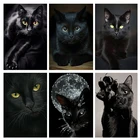 Алмазная 5D картина сделай сам с изображением животных, Черный кот, вышивка крестиком, квадратная, круглая, украшение на стену, подарок ручной работы