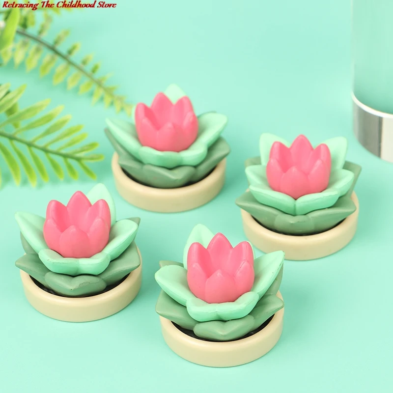

1Pc Doll Potted Plant Model Dollhouse Miniature Potted Succulent Plant Doll Toy