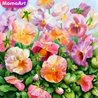 MomoArt алмазная живопись, цветок, алмазная вышивка, полная выкладка, квадратная картина Pansy, мозаика 5D DIY Стразы, настенное искусство