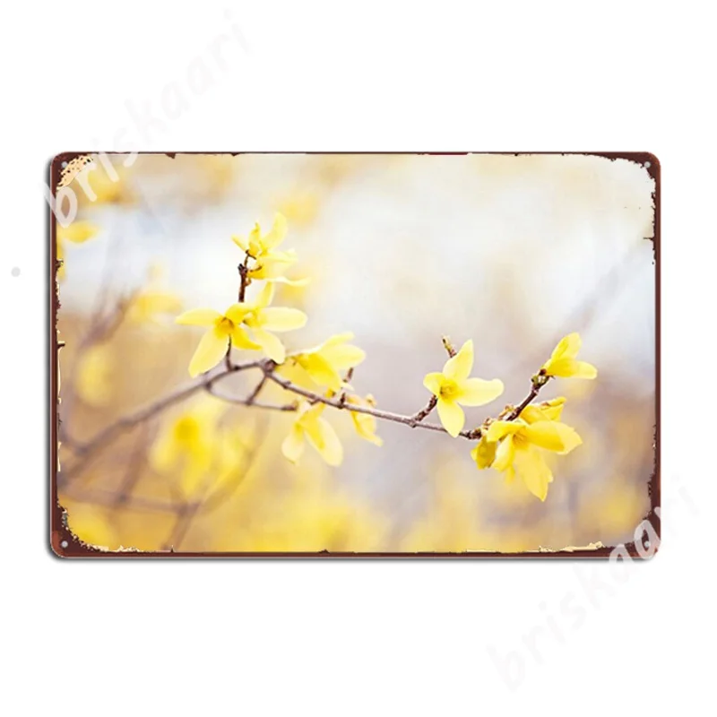 

Желтая Цветочная фотография Forsythia, цветочный весенний Природный искусство, металлические знаки, стена, паб, фотография, смешные жестяные пл...
