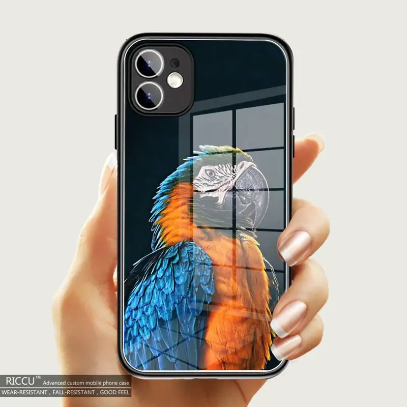 

Parrot Birds Cockatiel Phone Case Tempered Glass For iPhone 11 Pro max XR XS MAX 8 X 7 6S 6 Plus SE 2020 12 Pro Max Mini Covers