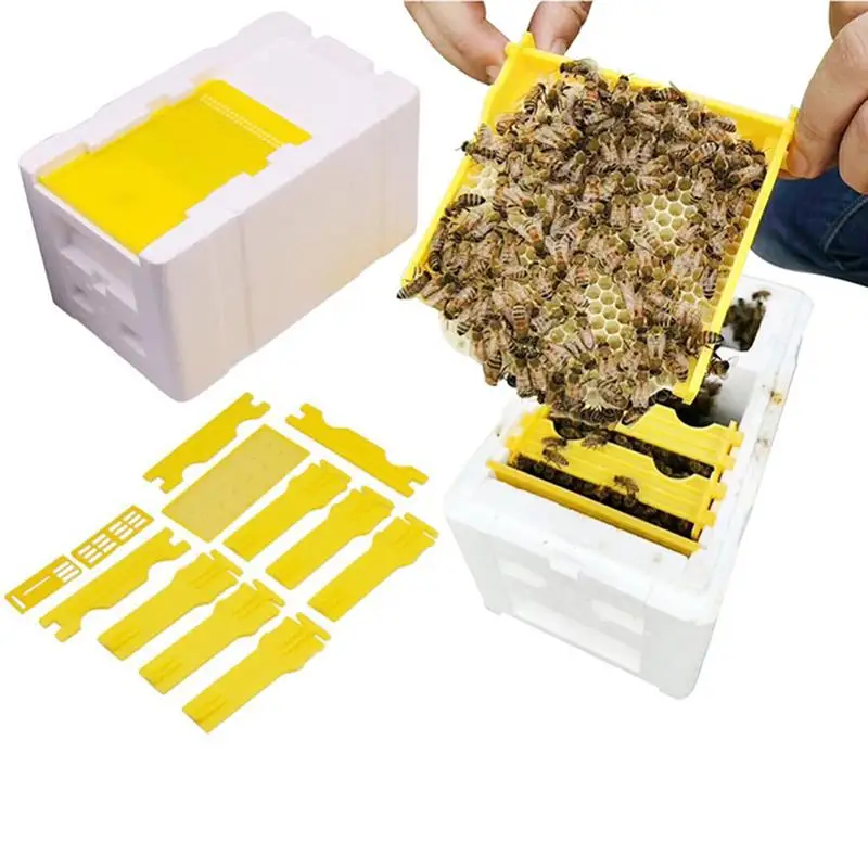 

Foam Bee Hive Beekeeping King Box Pollination Box Foam Frames Beekeeping Tool Kit For Home Use