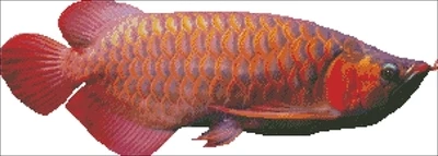 Набор для вышивки крестиком Arowana II 14 карат Декор дома | Дом и сад