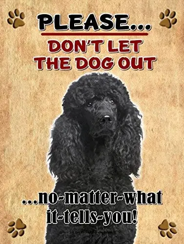 

Poodle - Don't Let The Dog Out... - 9X12 Realistic Pet Image Aluminum Metal Outdoor Dog Pet Sign. Will Not Rust!