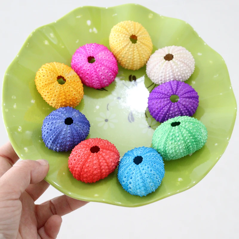 HappyKiss натуральный морской urchins розовый дизайн раковины urchin украшение для окна