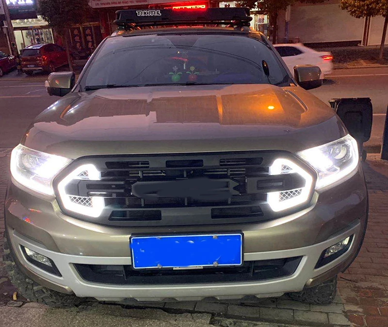 Передние гоночные Решетки Решетка для EVEREST ручной работы 2019 со светодиодами DRL