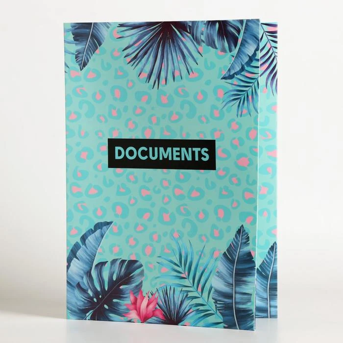 Папка для семейных документов Documents 12 файлов 4 комплекта|Папка файлов| |