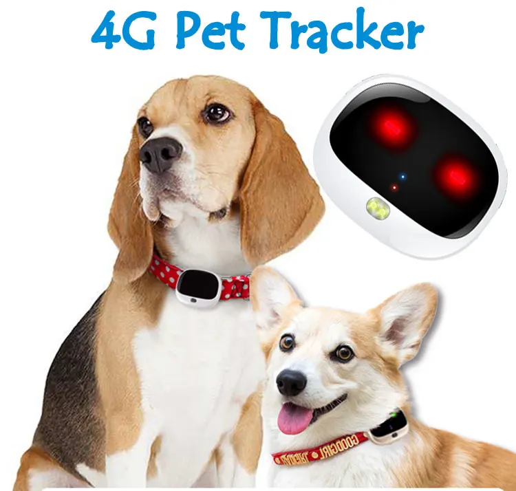 

Персональный мини GPS-трекер для отслеживания в реальном времени, локатор для собак, кошек, домашних животных, Wi-Fi, LTE + WCDMA + GSM IP67, водонепроница...