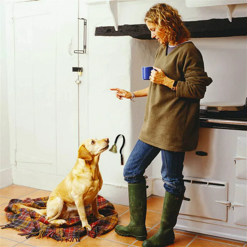 Новый хит продаж Колокольчик для домашнего питомца собаки тренировочный