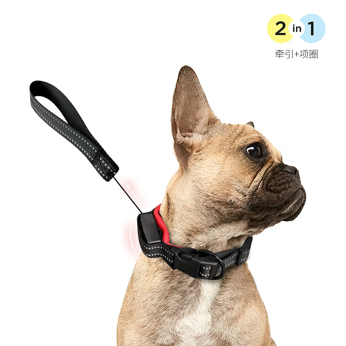 

Pet collar retractable tow rope 2 in 1 retractable dog collar tow rope