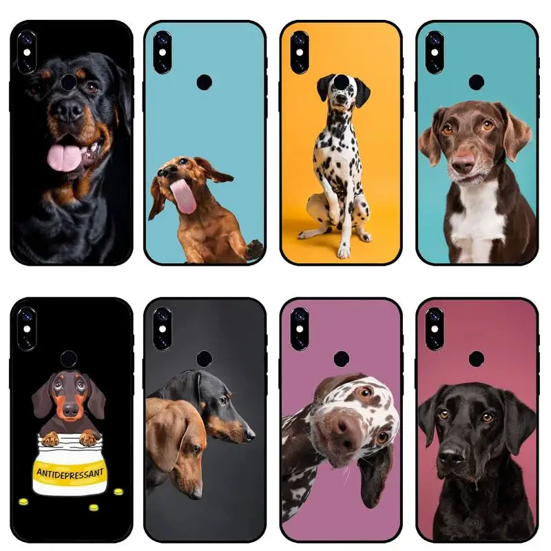 

Dachshund dog animal cute Phone Case For Xiaomi mi 9 9t 10 redmi 9 9a 8 8a note 10 9 9s 8 8t 7 pro max funda