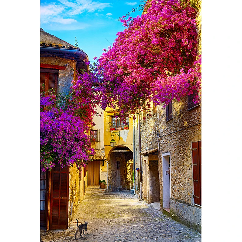 Nitree красивые улицы здания пейзаж фото студия в Вертикальную Полоску фоне