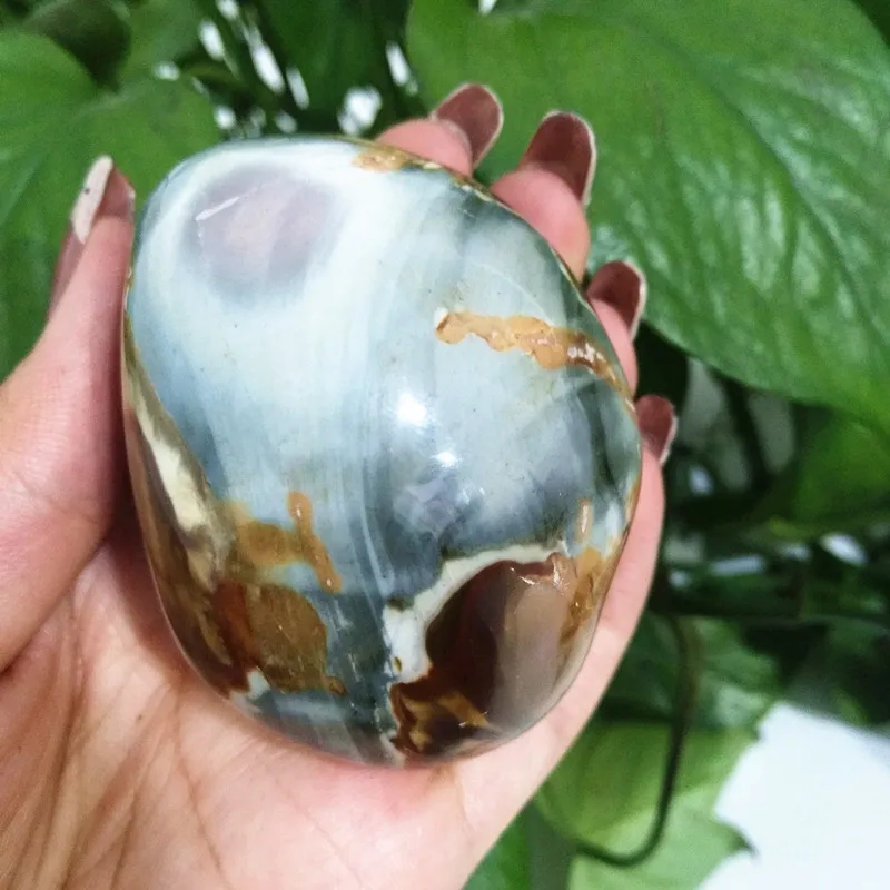

Natural stone Marine palm healing crystals Decorative collection stones and crystals
