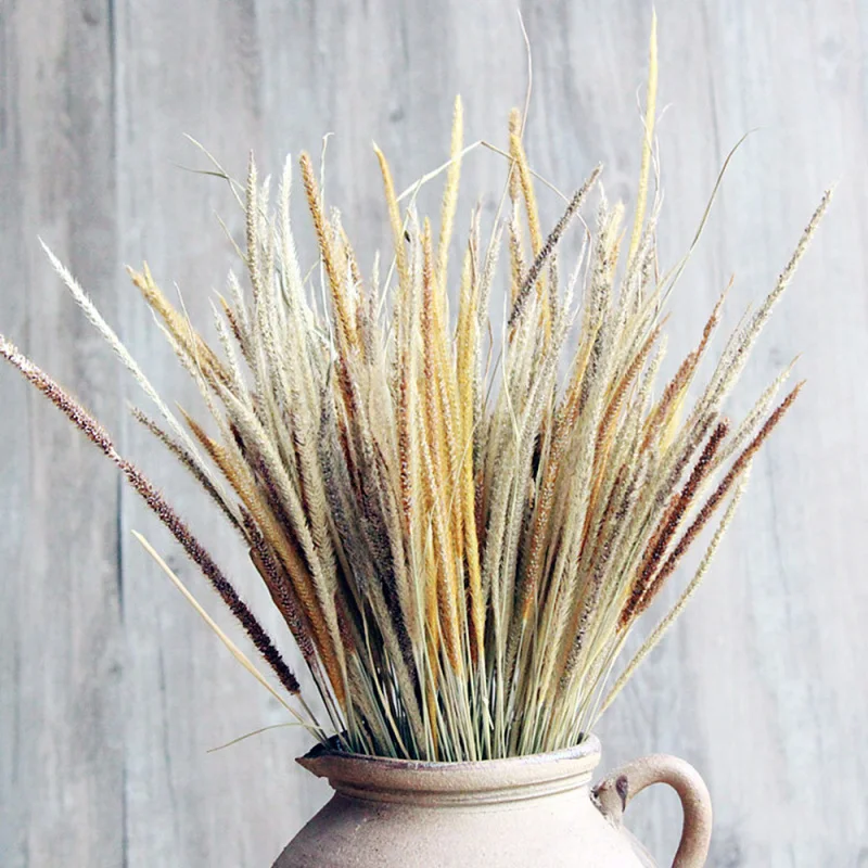 

50PCS Natural Dried Flower Grass DIY Home Wedding Favor Easter Decor Flower Arrangement Supplies