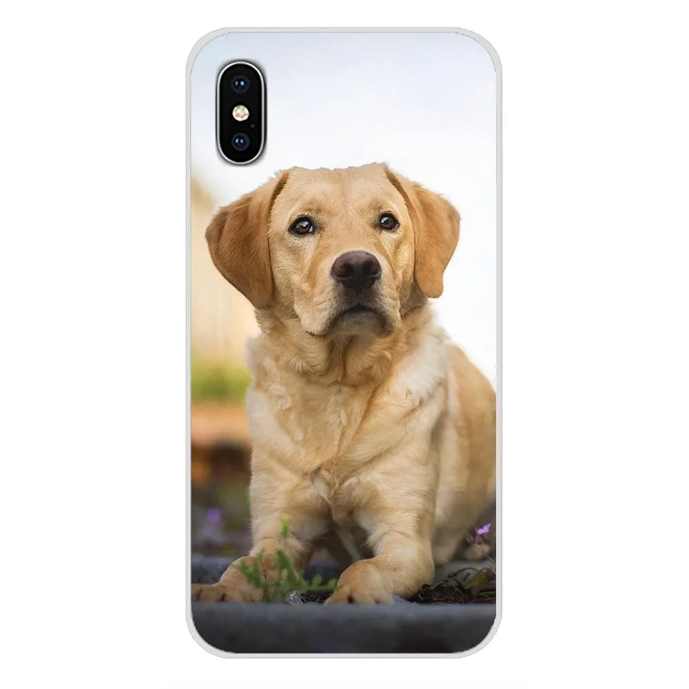 images 3 Прозрачные мягкие чехлы Чехлы забавные Лабрадор собака для huawei G7 G8 P7 P8 P9 P10 P20 P30 Lite Mini Pro P Smart Plus - Цвет: images 3