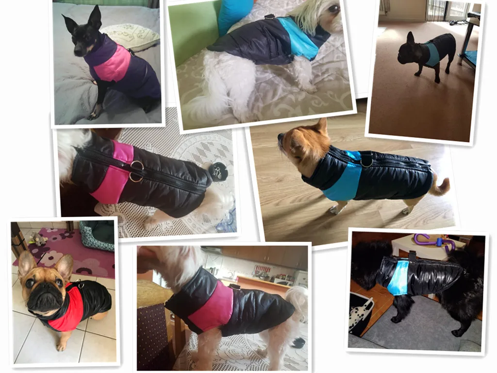 Winter Warm Pet Dog Vest Clothes Goods Waterproof Zip-up Coat Jacket For Small Dogs Puppy Cat Raincoat Apparel DOGGYZSTYLE