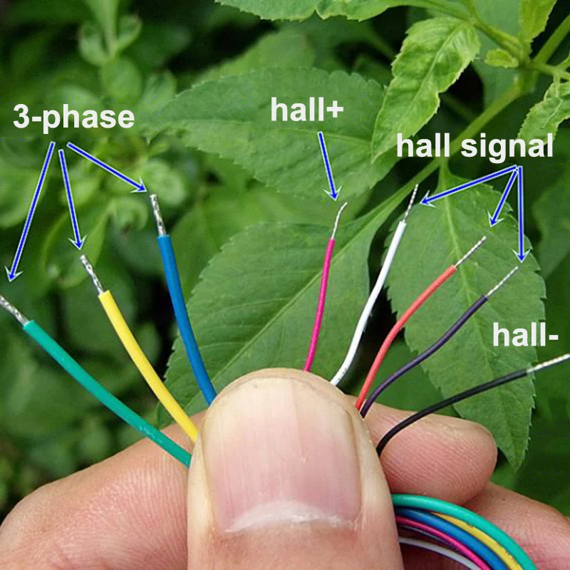 Миниатюрный маленький бесщеточный электродвигатель постоянного тока 6 в 9 12 В 36
