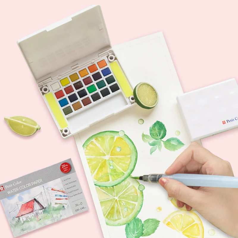 Пигментная краска сакуры сплошного цвета 24 s Подарочная коробка с Pigma Micron