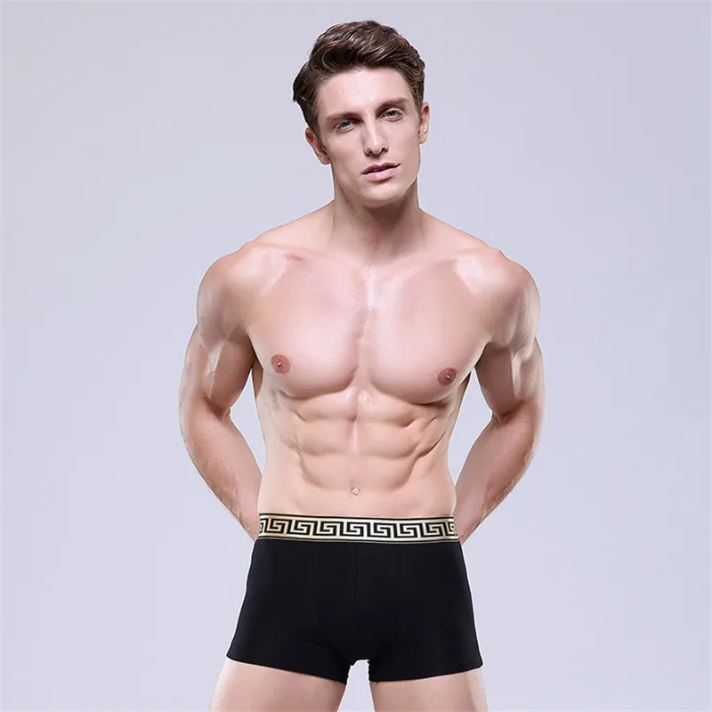 Повседневное хлопковое нижнее белье для мужчин в деловом стиле мужские боксеры с