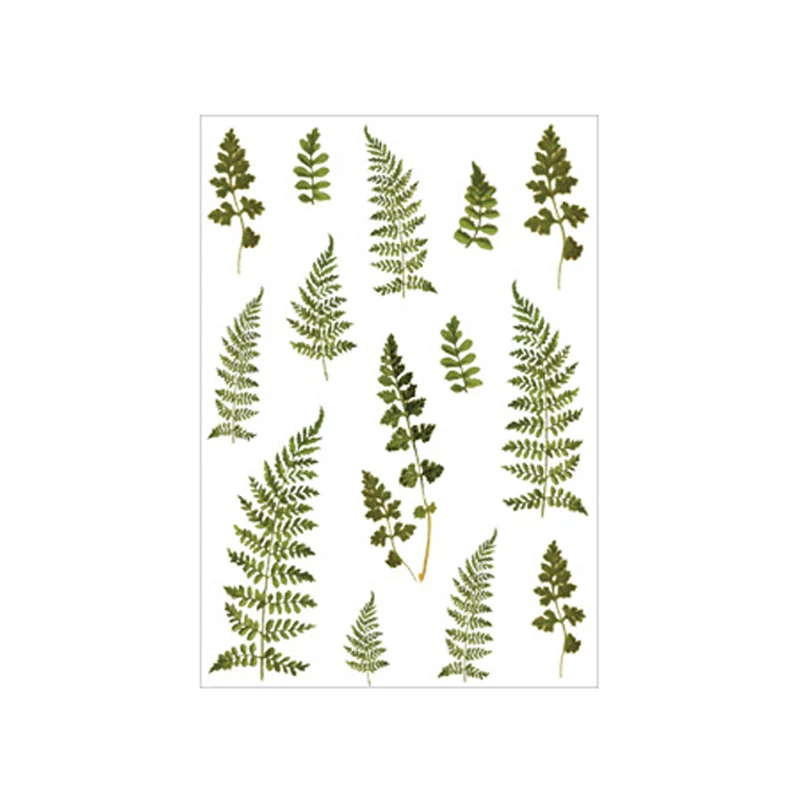 12 видов конструкций природные стикеры прозрачная ПЭТ Материал Цветы Листья
