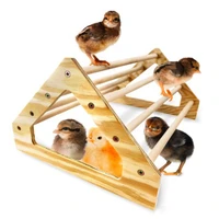 2 type parrot wooden stand bird grinding holder perch table platform toys cute wood rod holder for cockatiel parakeet