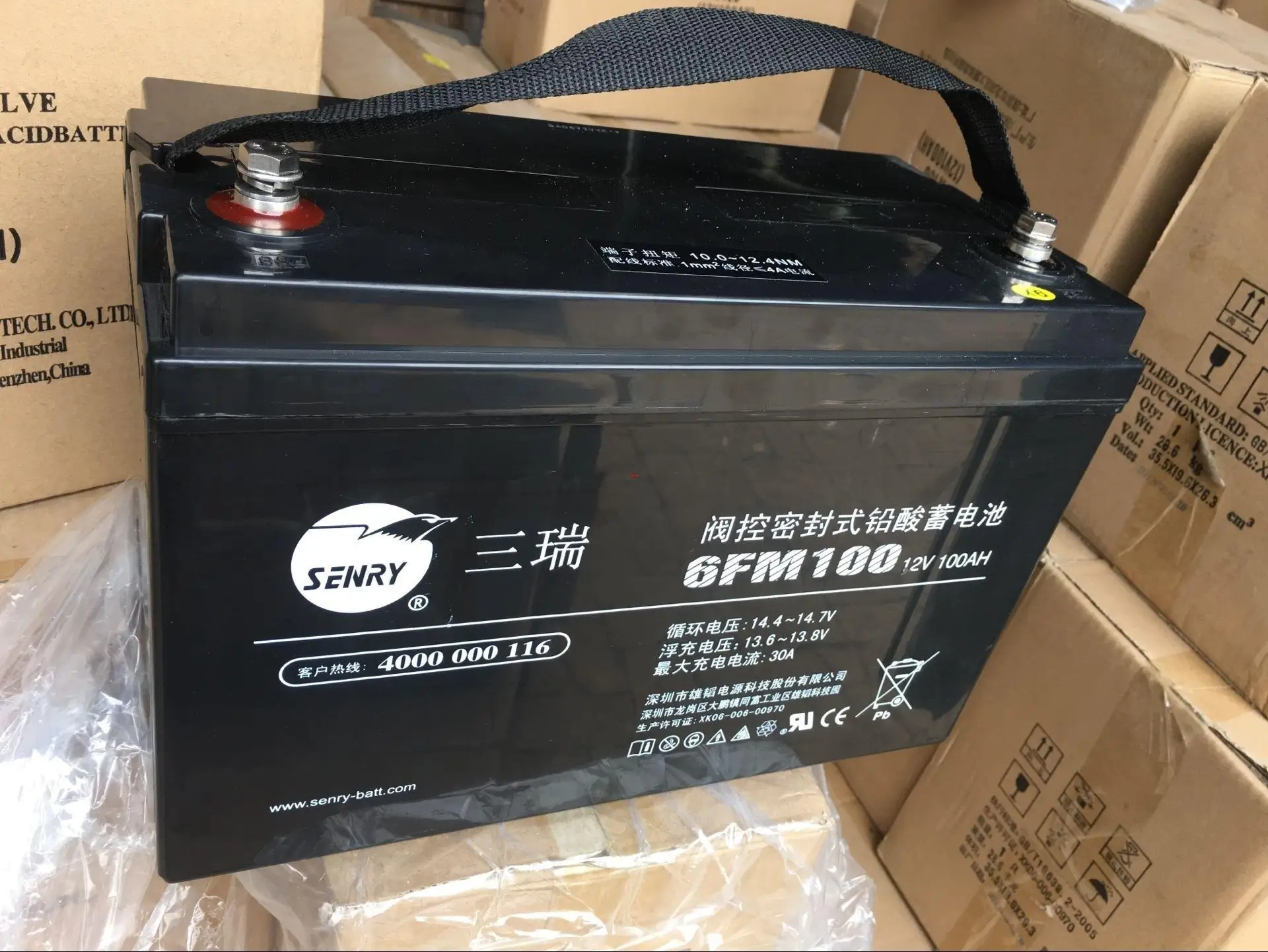 

Sanrui Storage Battery 12v100ah Battery/Ups Solar Battery Storage Battery 6fm100 Genuine for Free Shipping