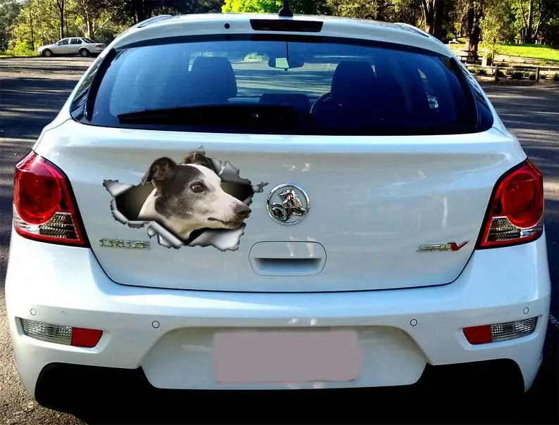 

2021 black and white whippet car decal, black and white whippet whippet sticker, pet decal