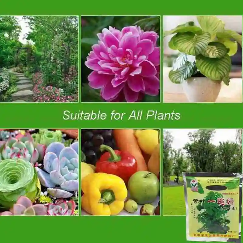 20 г растительные продукты для лечения желтых листьев питание болезненные