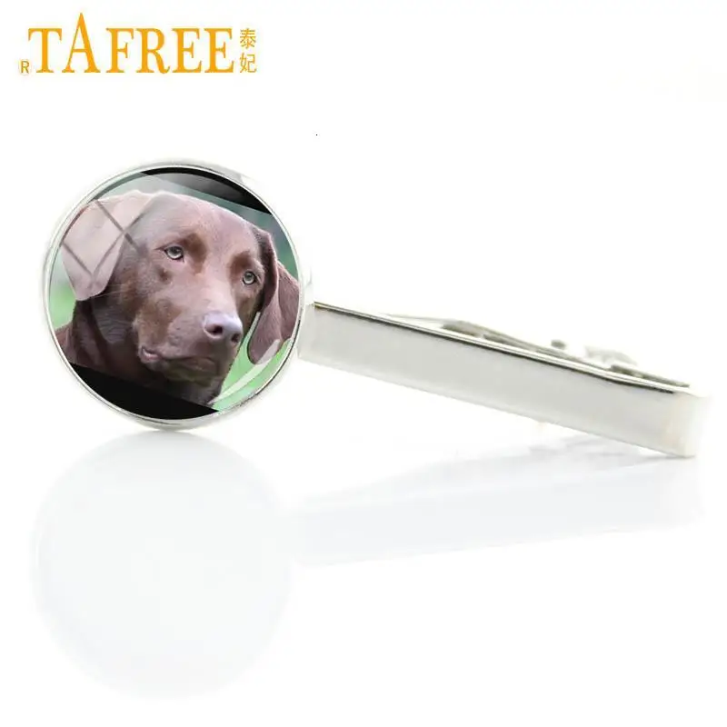 TAFREE, винтажные стеклянные зажимы для галстука с милой собакой, Бигль, лабрадор, бульдог, мопс, подарки для любителей собак, заколка для галстука для Мужчин, Ювелирные изделия DG1