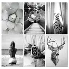 Набор для рисования по номерам на холсте, 60x75 см