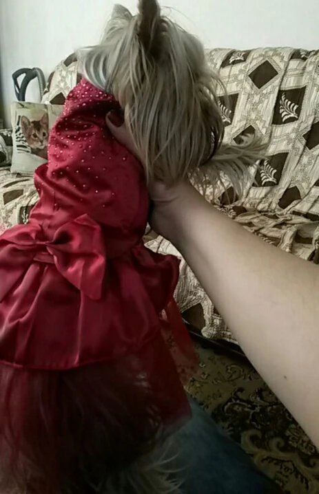 

Dog Princess Dresses Dog Clothes Bow Princess Skirt Puppy Lace Wedding Dress Pet Chihuahua Party Outfits Dropshipping