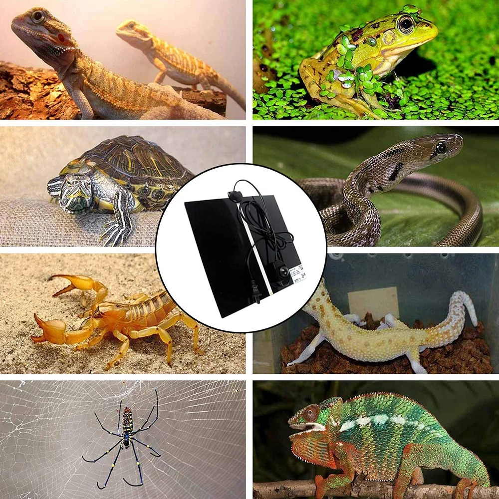

Reptiles Heat Mat 14W 20W Adjustable Temperature Controller Mats For Turtle Lizard Snake Tortoise Pet Supplies