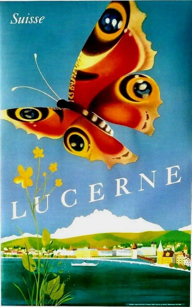 BUTTERFLY Picture Art Silk Poster Print 24x36inch