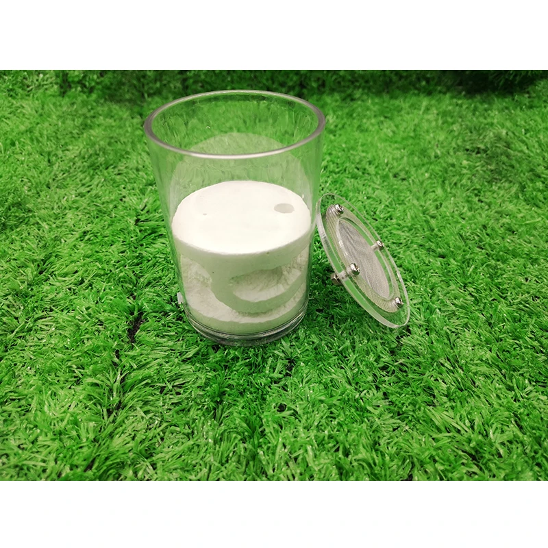 Маленькая чашка акрилового покрытия гипса насекомых гнезда муравьев фермы дом