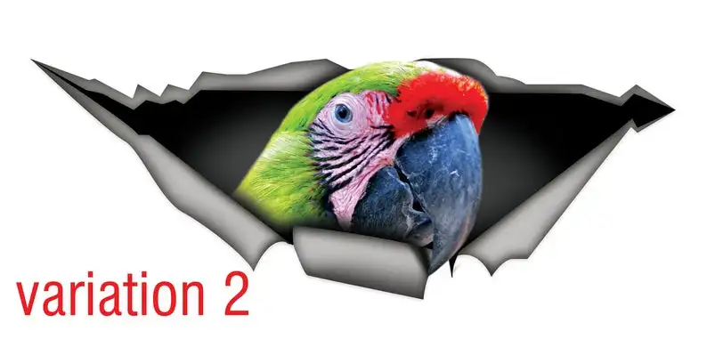 

2021 Great Green Macaw car decal, funny car sticker, parrot decal, bird decal, Great Green Macaw sticker