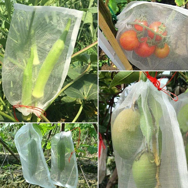 

150 Pieces of Fruit Protection Bag, 6X10 Inch Garden Plant Flower and Fruit Protection Bag