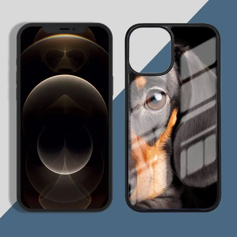 

Cute Panda Phone Case PC for iPhone 11 12 pro XS MAX 8 7 6 6S Plus X 5S SE 2020 XR