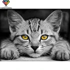 Круглая Алмазная вышивка XUEQIXIAOZU с изображением Серого Кота, алмазная вышивка 5D сделай сам, набор для алмазной мозаики, картина для украшения дома, Новинка